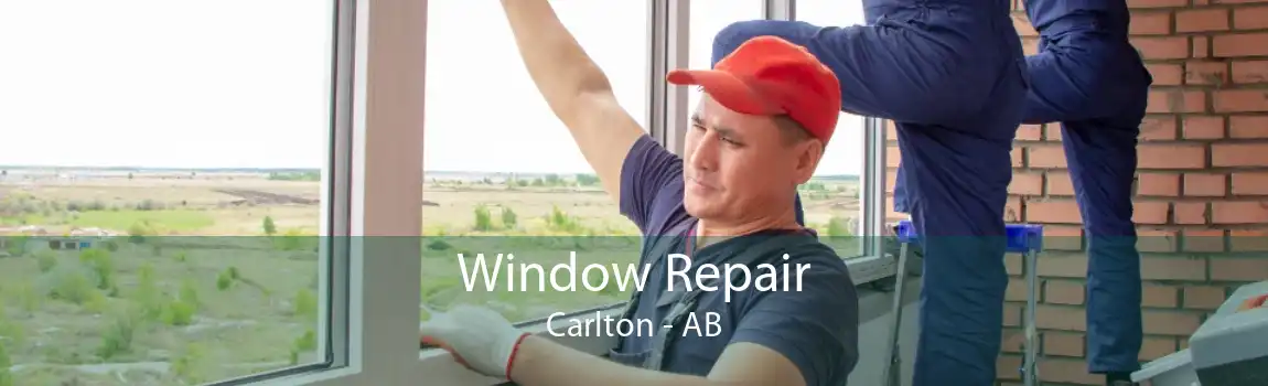 Window Repair Carlton - AB