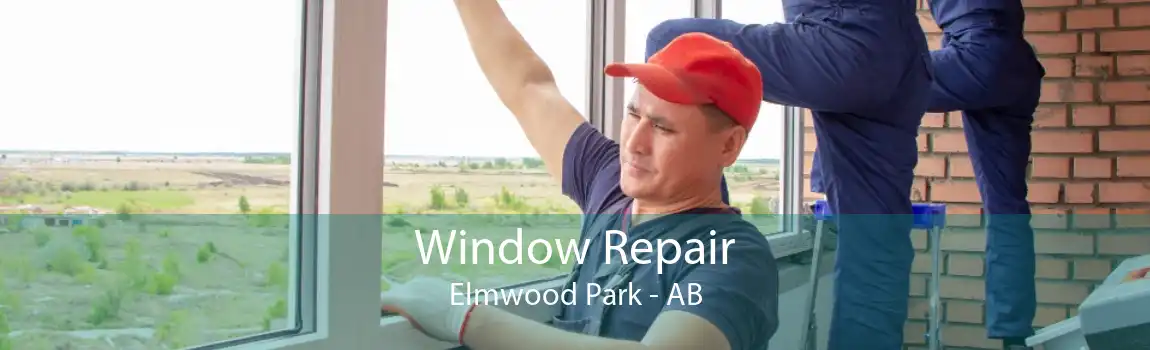 Window Repair Elmwood Park - AB