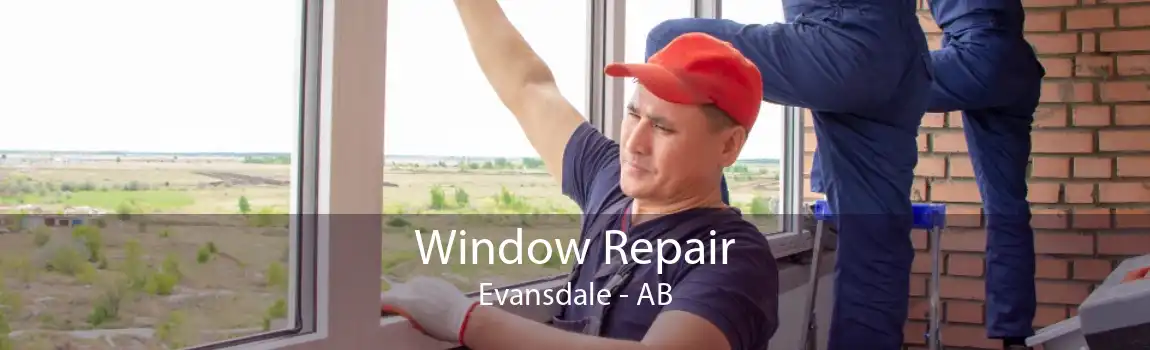 Window Repair Evansdale - AB