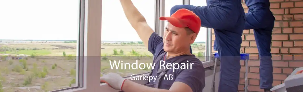 Window Repair Gariepy - AB