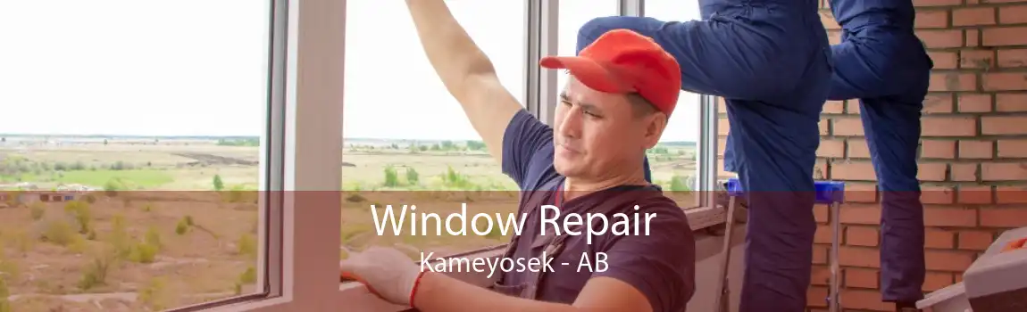 Window Repair Kameyosek - AB