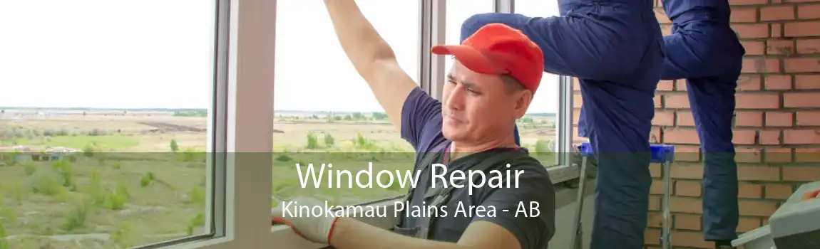 Window Repair Kinokamau Plains Area - AB