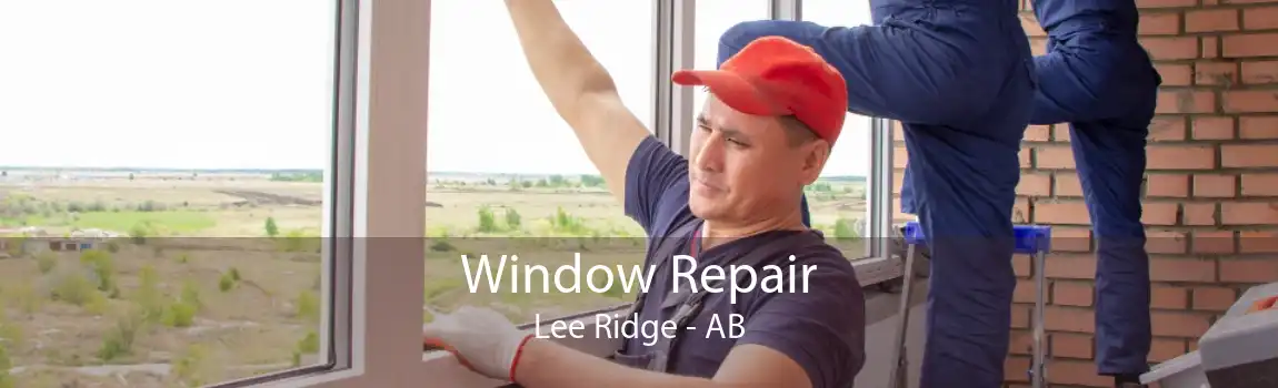 Window Repair Lee Ridge - AB