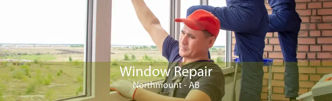 Window Repair Northmount - AB