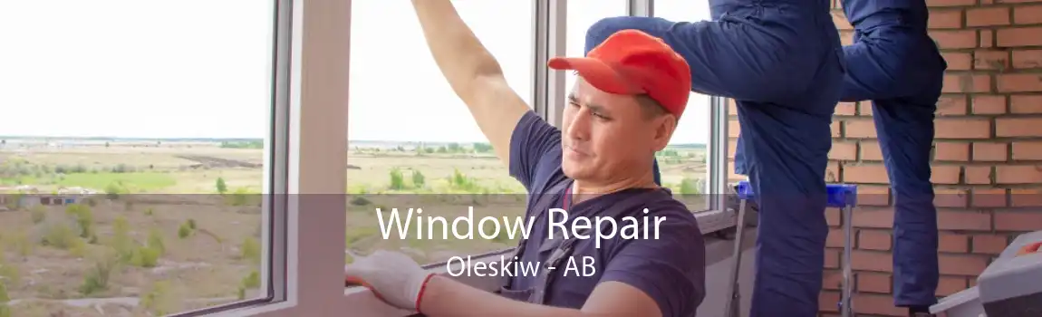 Window Repair Oleskiw - AB