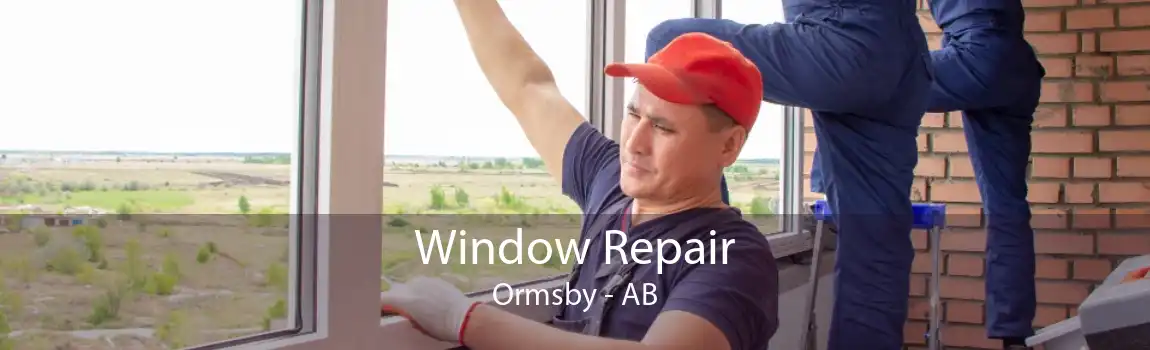 Window Repair Ormsby - AB