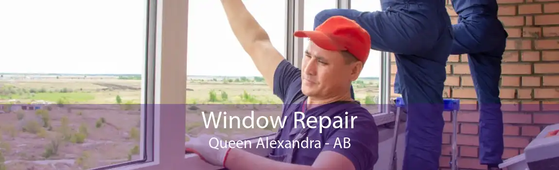 Window Repair Queen Alexandra - AB