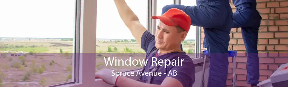 Window Repair Spruce Avenue - AB