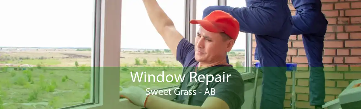 Window Repair Sweet Grass - AB