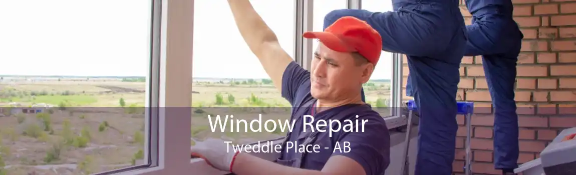 Window Repair Tweddle Place - AB