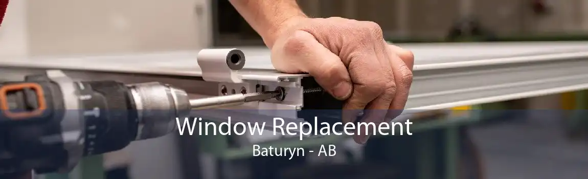 Window Replacement Baturyn - AB