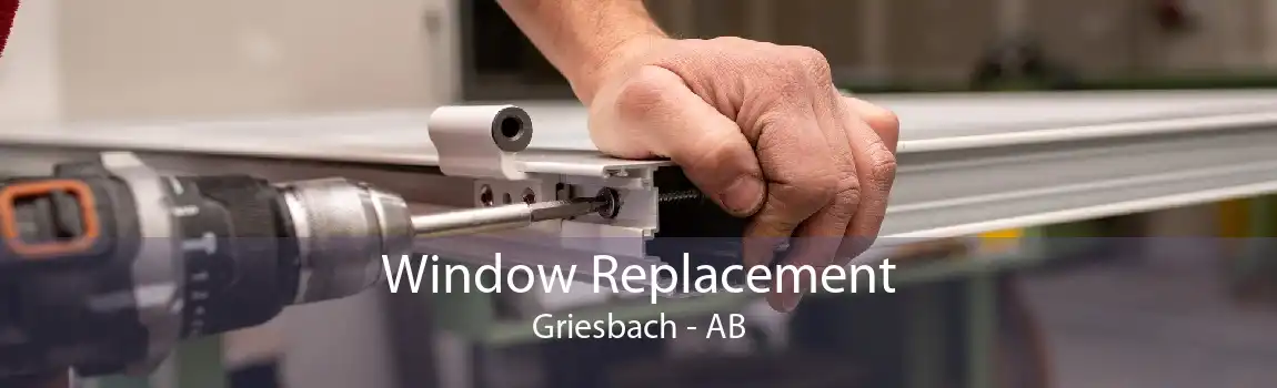 Window Replacement Griesbach - AB