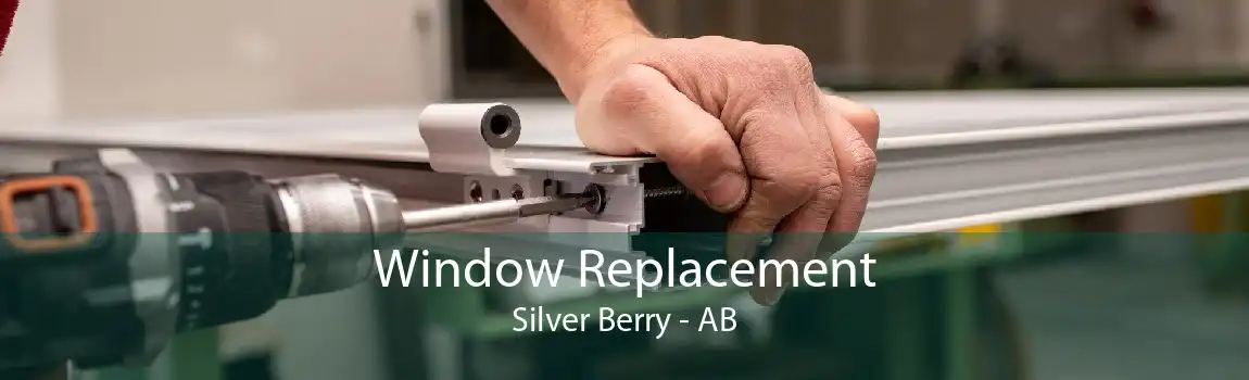 Window Replacement Silver Berry - AB