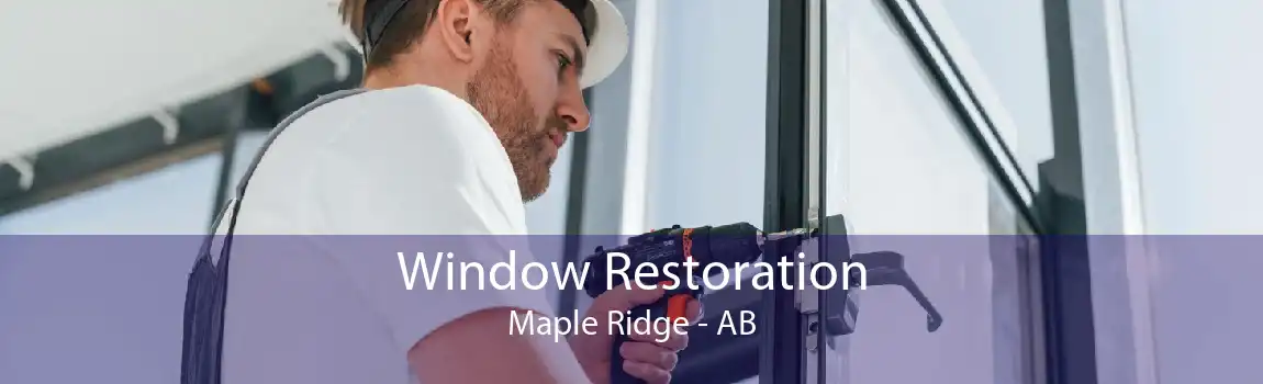 Window Restoration Maple Ridge - AB