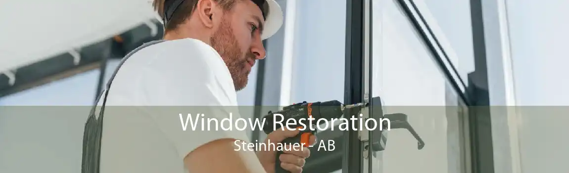 Window Restoration Steinhauer - AB