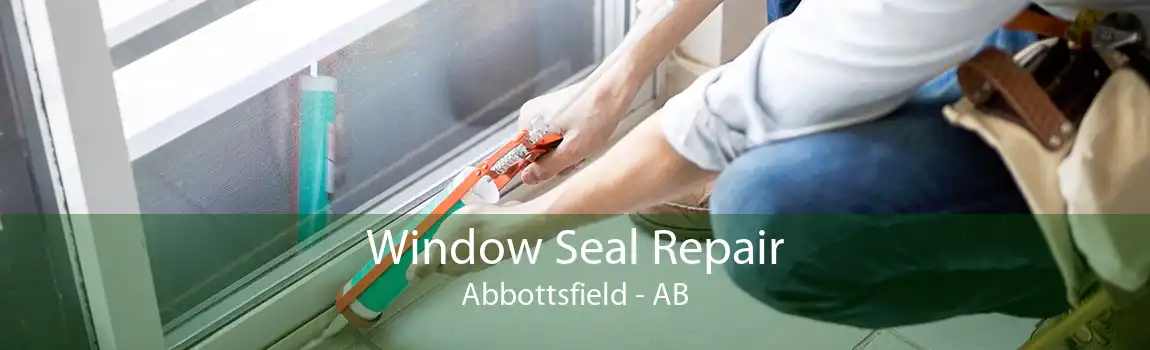 Window Seal Repair Abbottsfield - AB