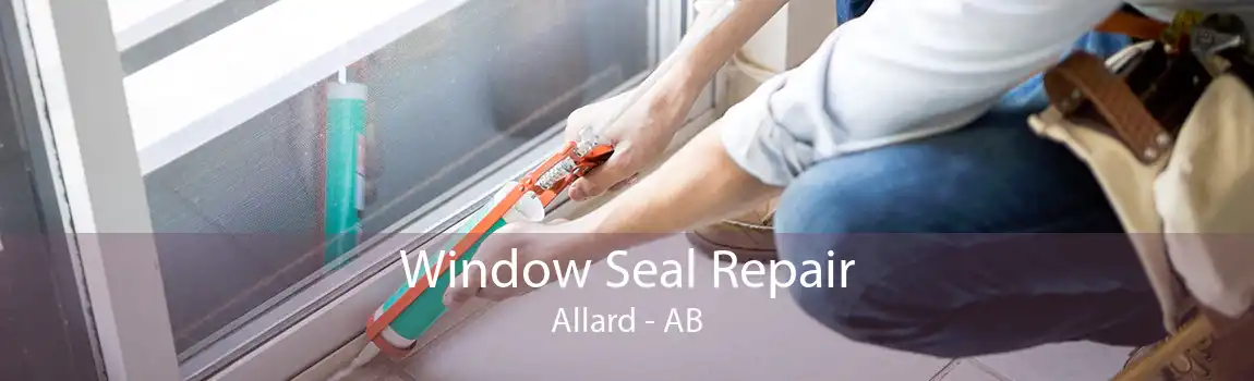 Window Seal Repair Allard - AB