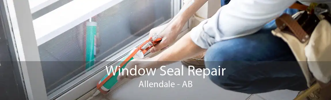 Window Seal Repair Allendale - AB