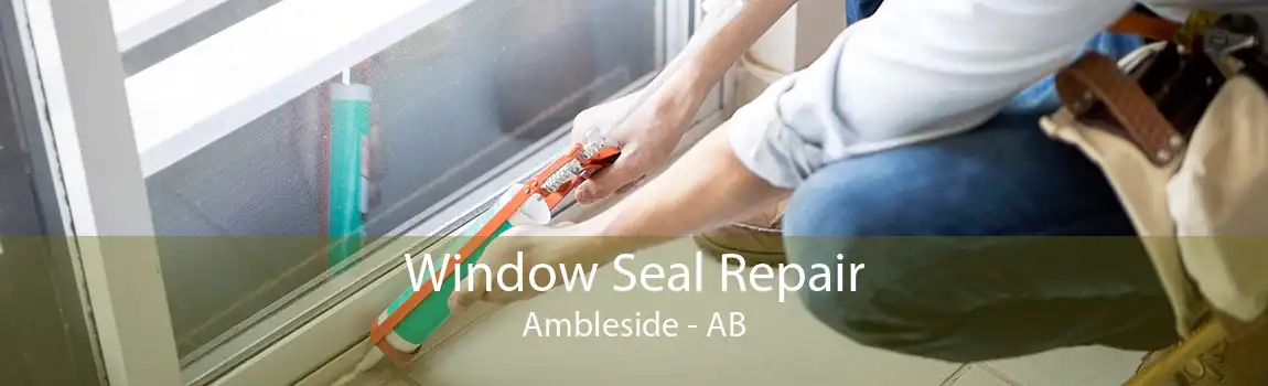 Window Seal Repair Ambleside - AB