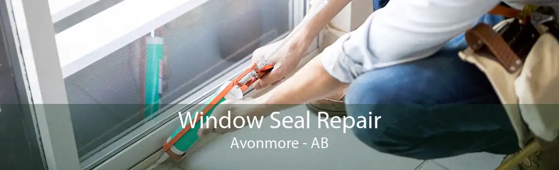 Window Seal Repair Avonmore - AB