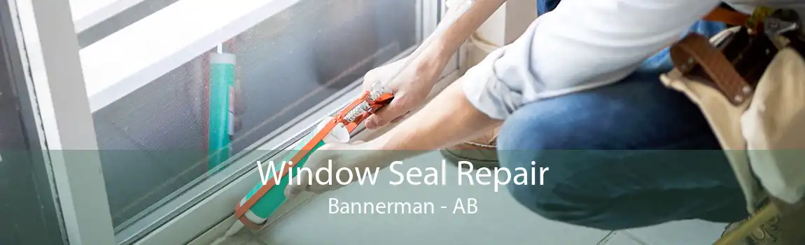 Window Seal Repair Bannerman - AB