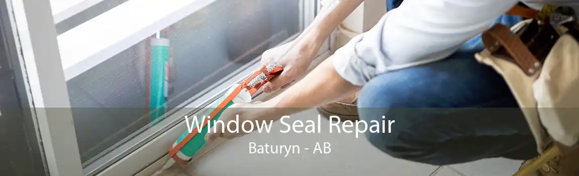 Window Seal Repair Baturyn - AB