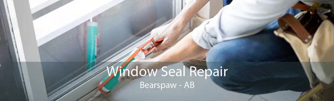 Window Seal Repair Bearspaw - AB