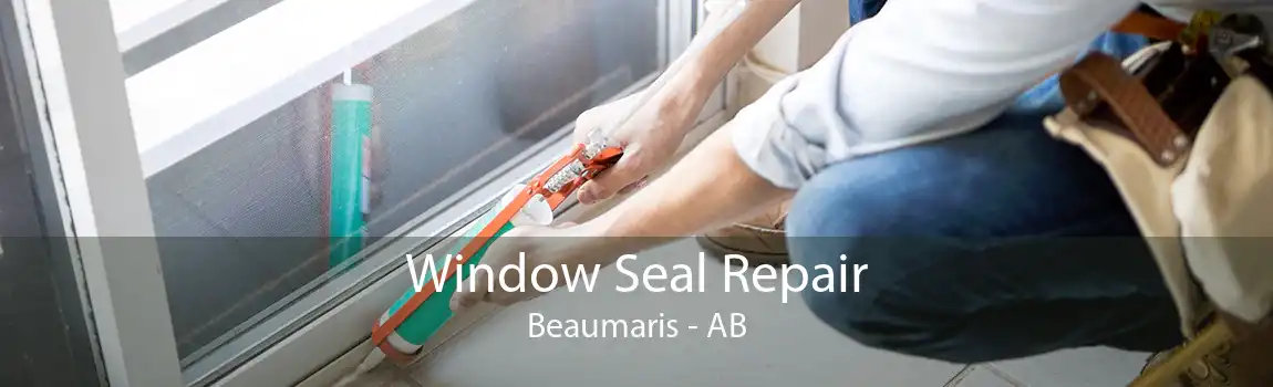 Window Seal Repair Beaumaris - AB