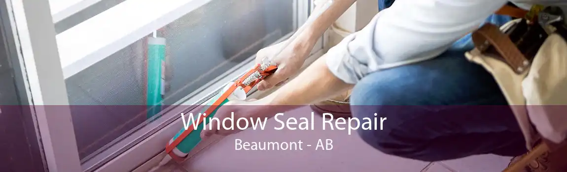 Window Seal Repair Beaumont - AB