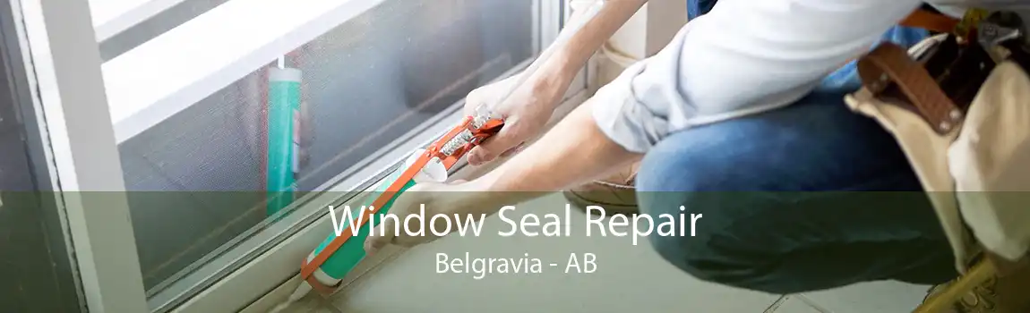 Window Seal Repair Belgravia - AB