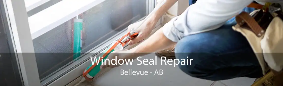 Window Seal Repair Bellevue - AB