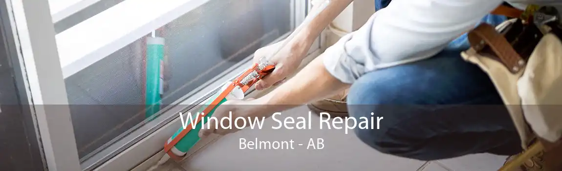 Window Seal Repair Belmont - AB