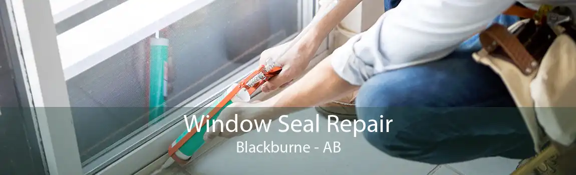 Window Seal Repair Blackburne - AB