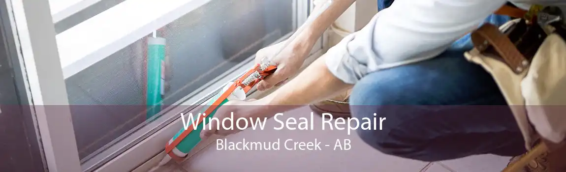 Window Seal Repair Blackmud Creek - AB