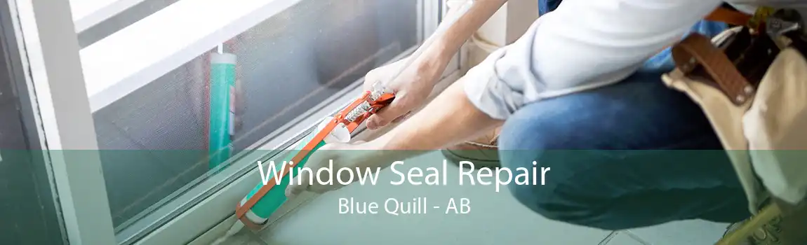 Window Seal Repair Blue Quill - AB