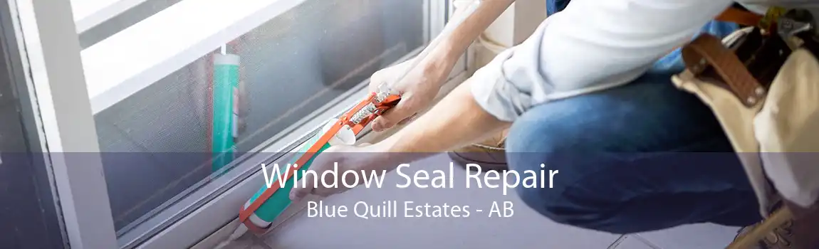 Window Seal Repair Blue Quill Estates - AB