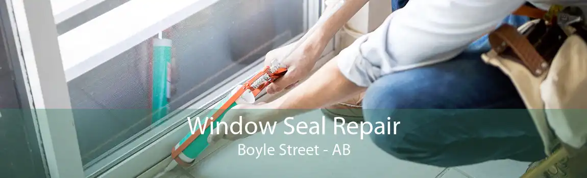 Window Seal Repair Boyle Street - AB