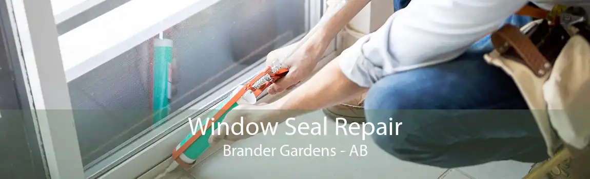 Window Seal Repair Brander Gardens - AB