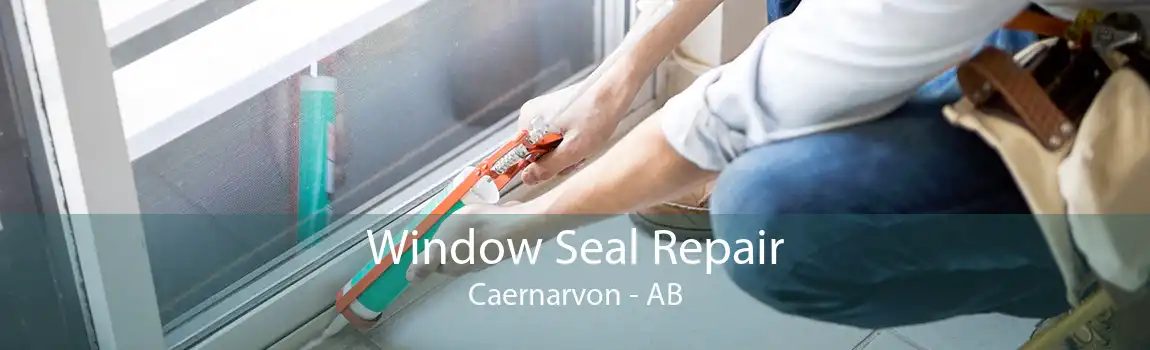 Window Seal Repair Caernarvon - AB