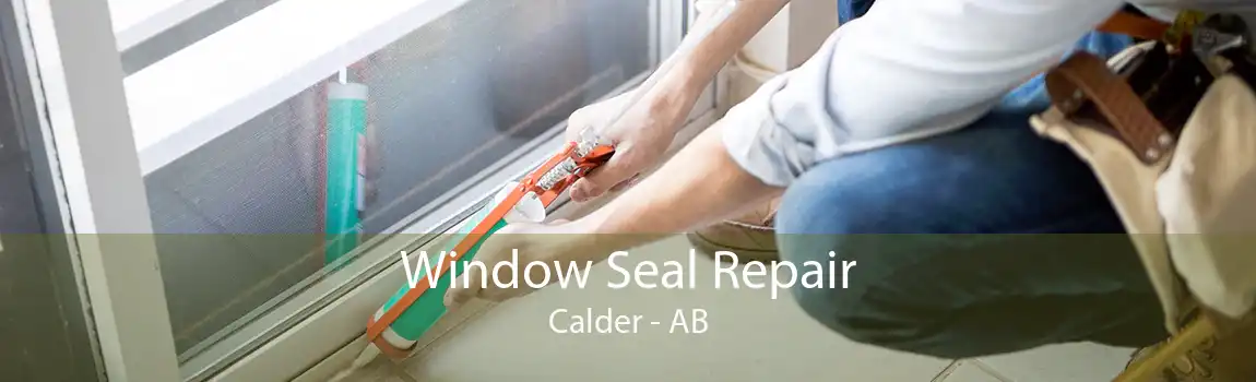 Window Seal Repair Calder - AB