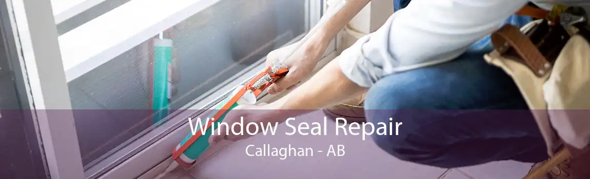 Window Seal Repair Callaghan - AB