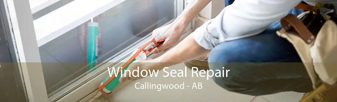 Window Seal Repair Callingwood - AB