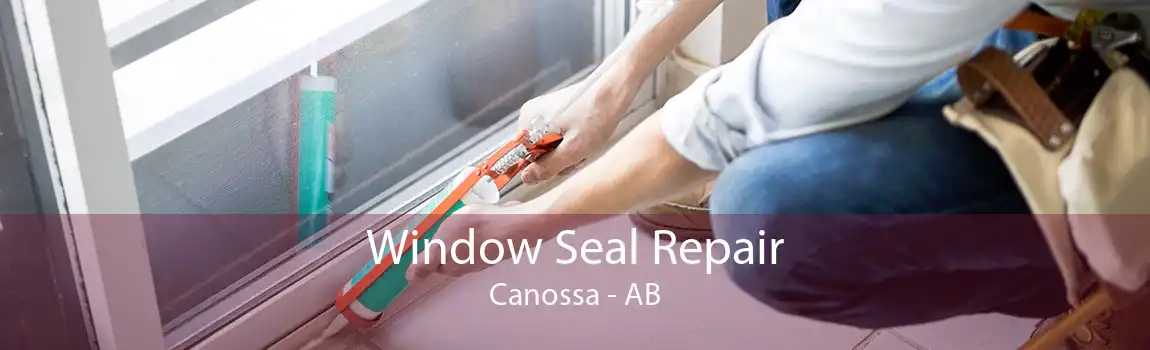 Window Seal Repair Canossa - AB