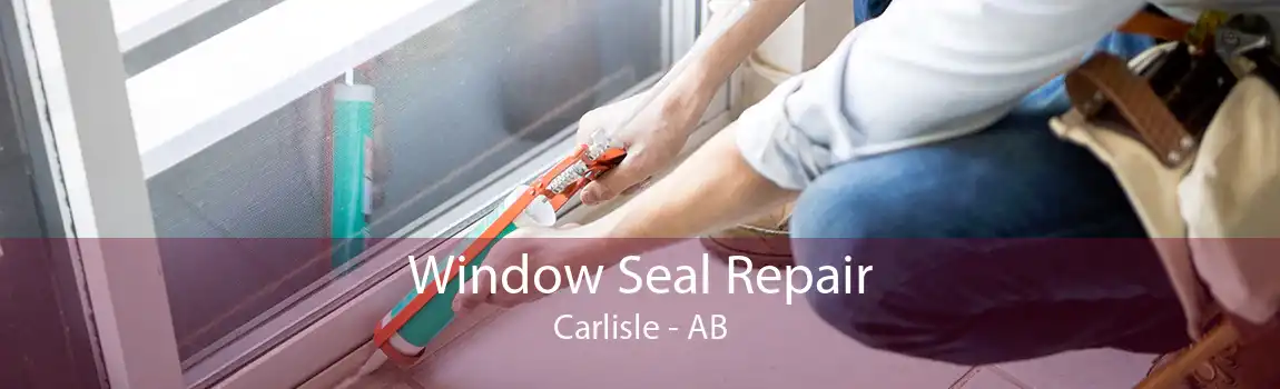 Window Seal Repair Carlisle - AB