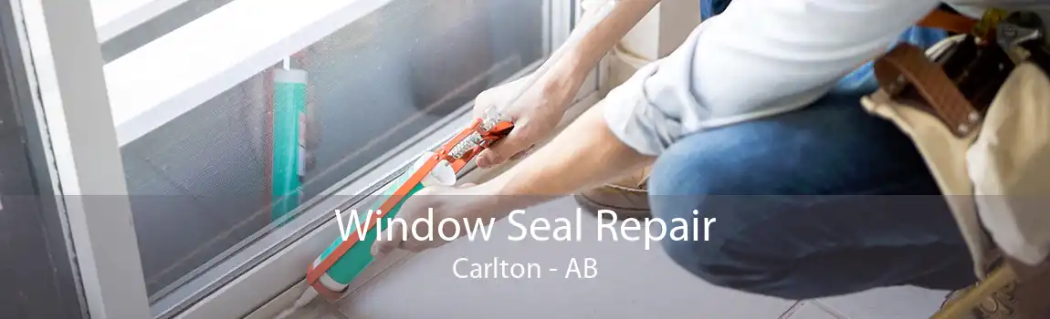 Window Seal Repair Carlton - AB