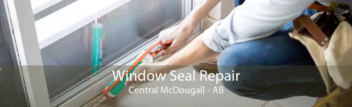 Window Seal Repair Central McDougall - AB