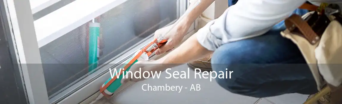 Window Seal Repair Chambery - AB