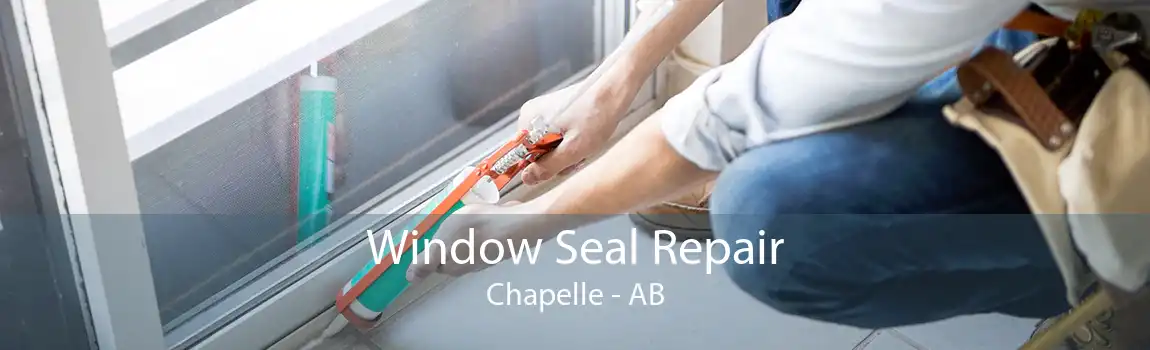 Window Seal Repair Chapelle - AB