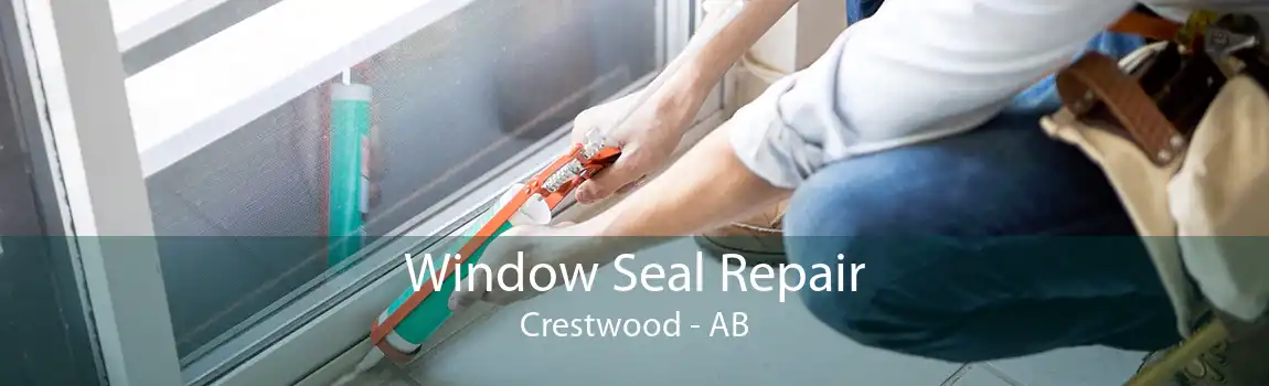 Window Seal Repair Crestwood - AB