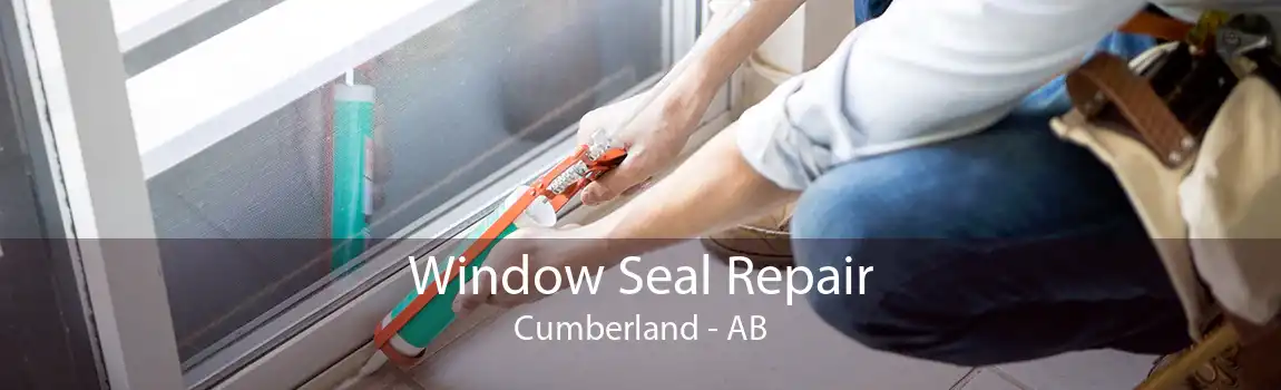 Window Seal Repair Cumberland - AB